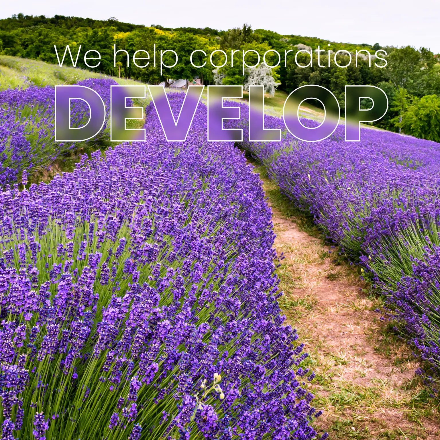 slideshow-mobile-04_result